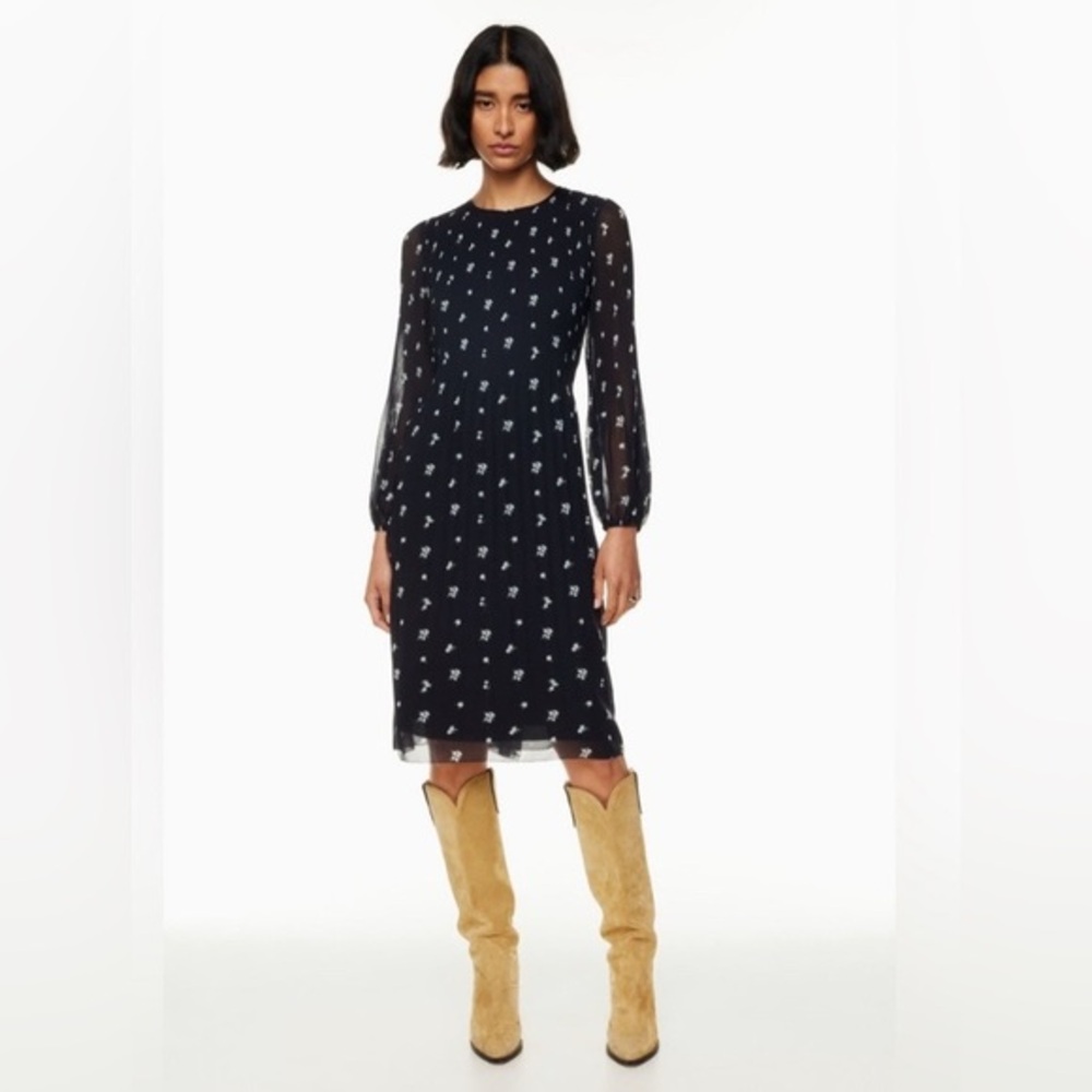 New Aritzia Wilfred Daydreamer Pleated chiffon midi dress